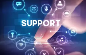 Virtual IT Department