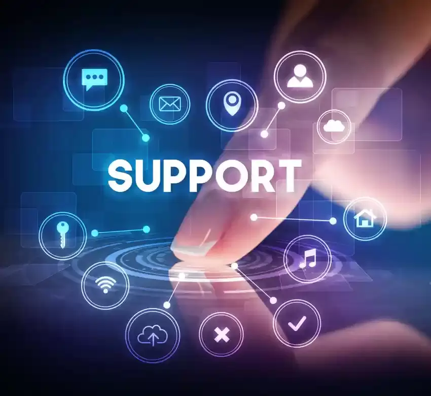 Virtual IT Department